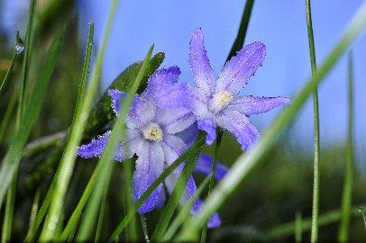 CB-2_Frühling