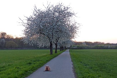 CB-2_Frühling